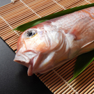 甘鯛